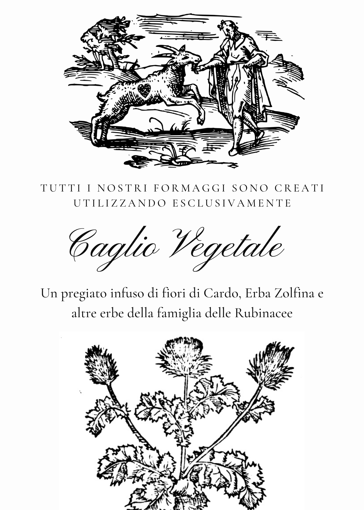caglio vegetale