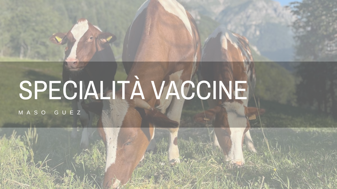 SPECIALITà VACCINE